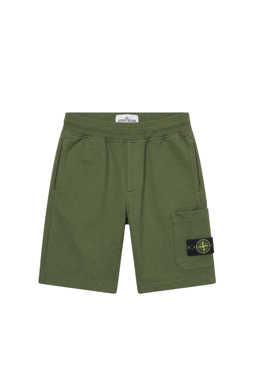 THE STONE SHORTS
