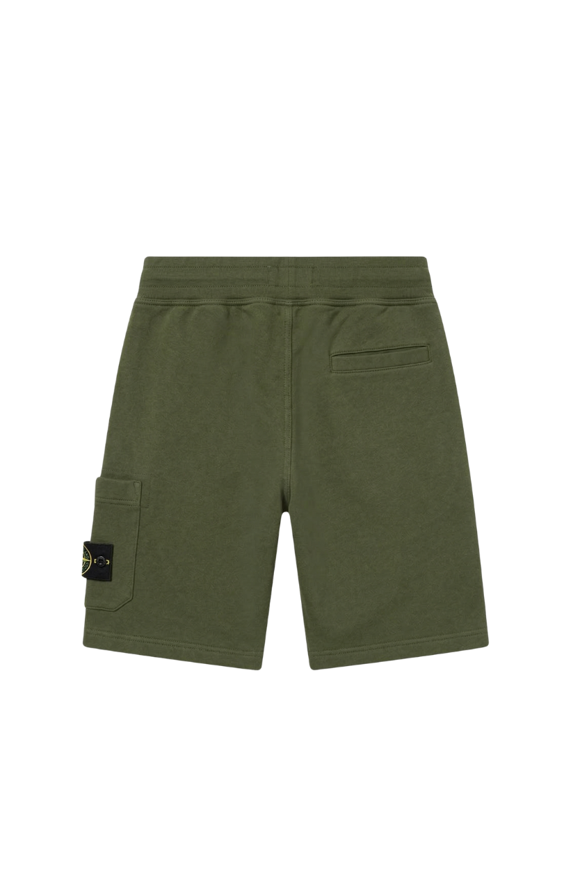 THE STONE SHORTS