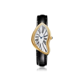 THE CRASH WATCH
