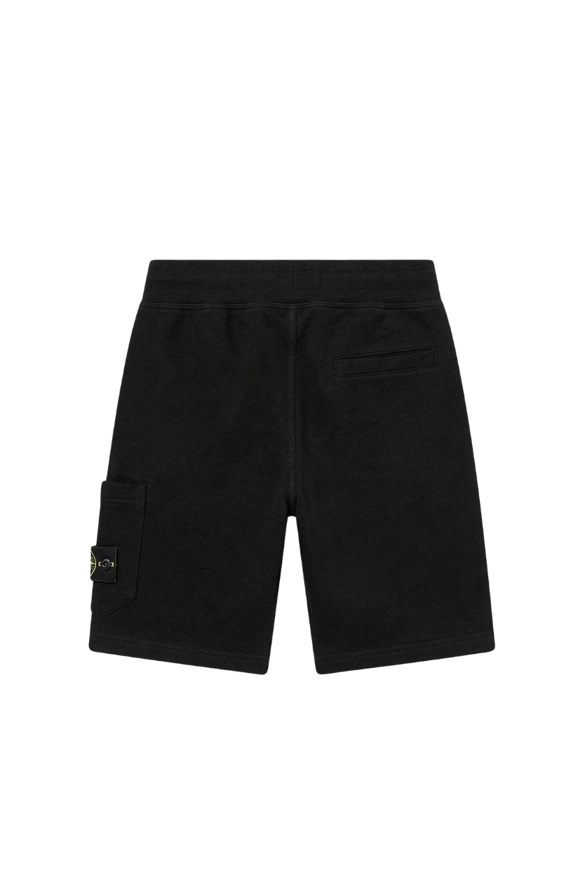 THE STONE SHORTS