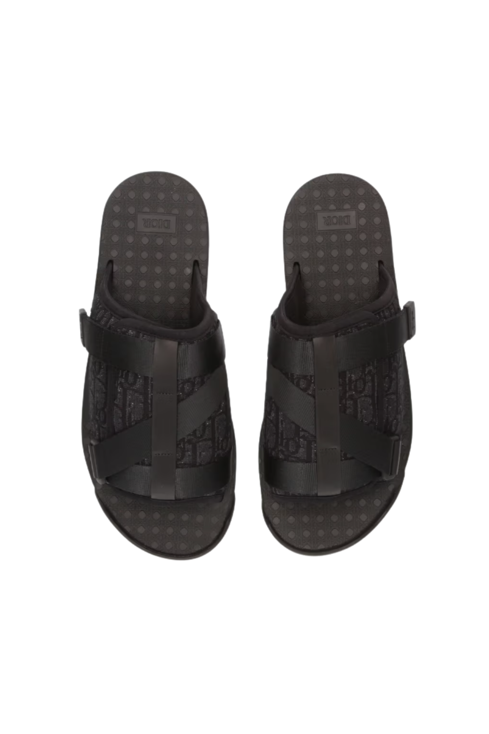 THE CD ALPHA SLIDES