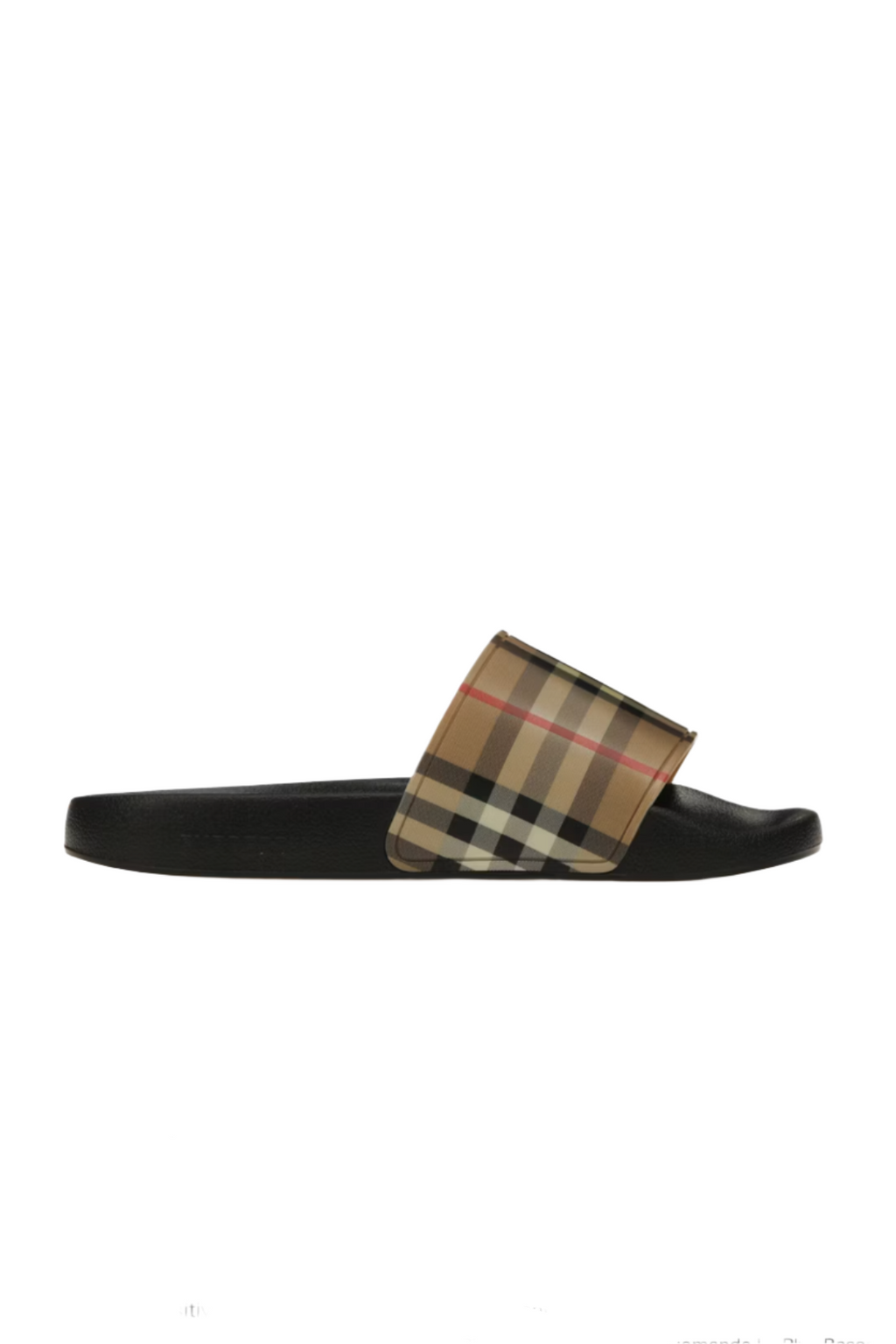 THE CHECK SLIDES