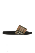 THE CHECK SLIDES