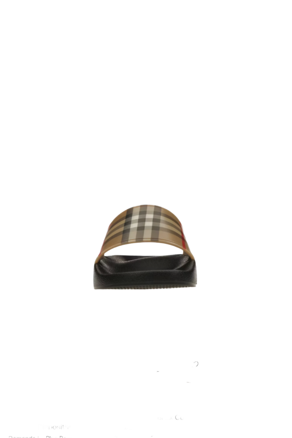 THE CHECK SLIDES