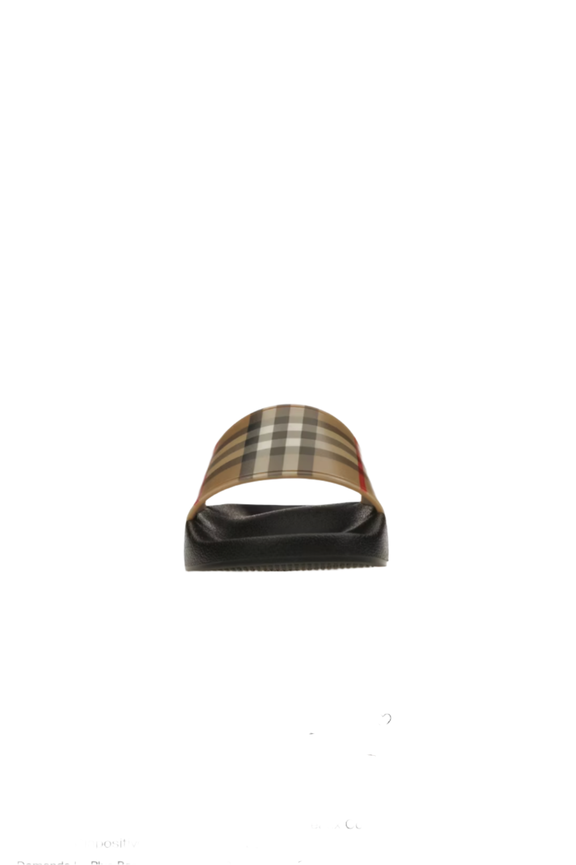THE CHECK SLIDES