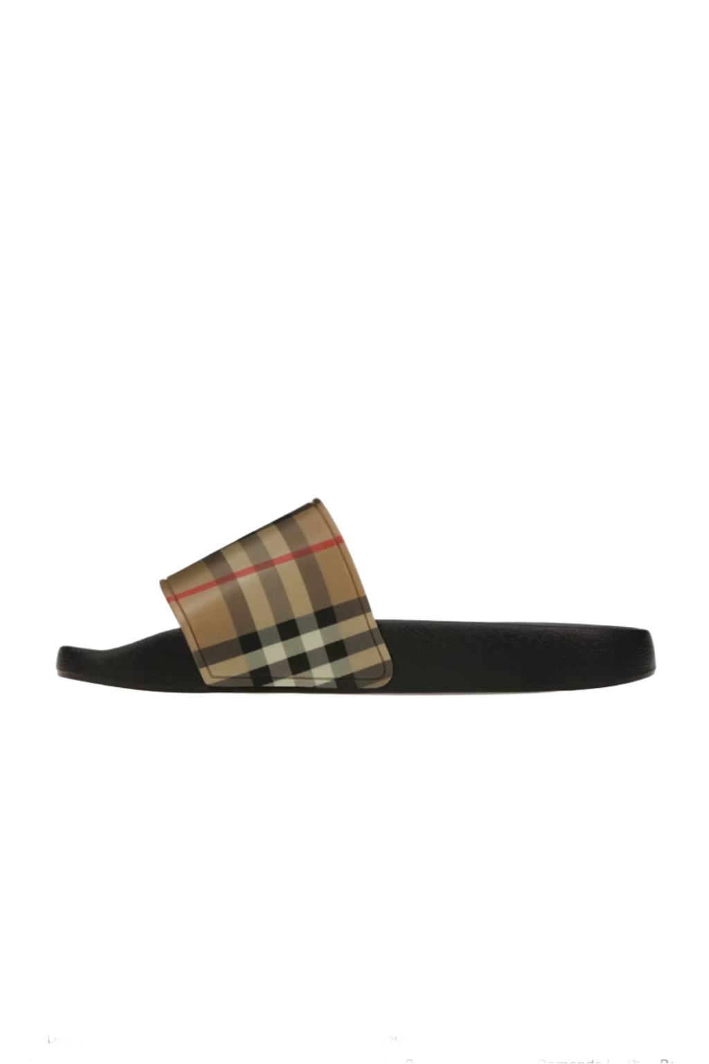 THE CHECK SLIDES